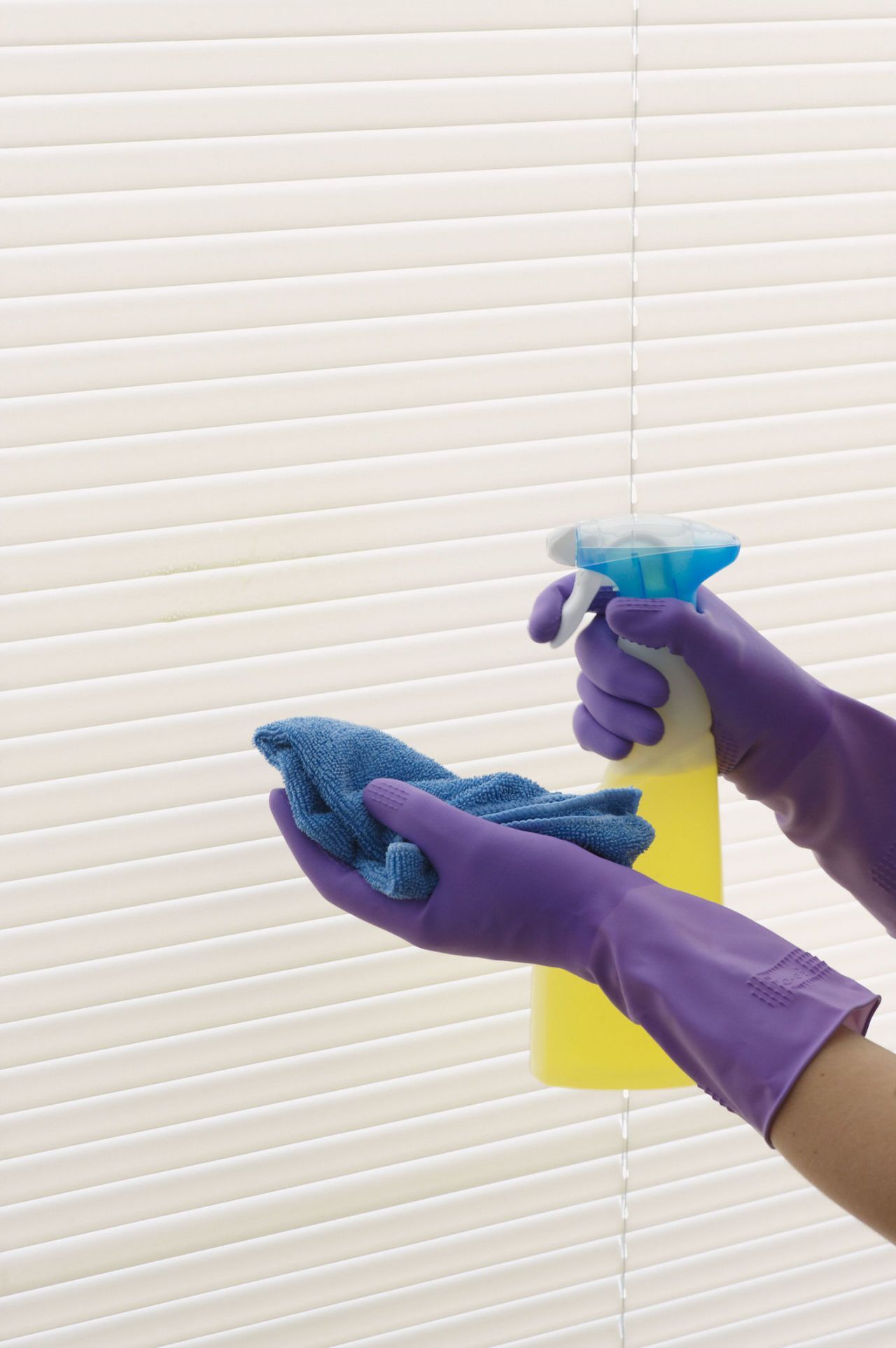 Par rok v vijoličnih gumijastih rokavicah za čiščenje senčil s pršilom in krpo