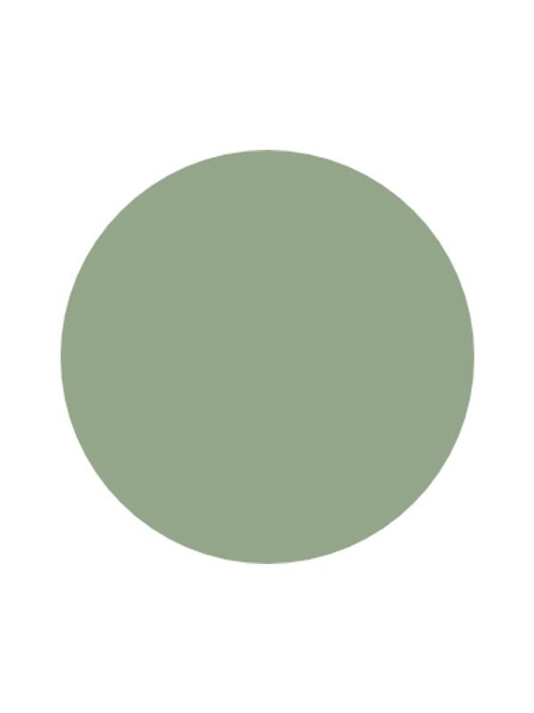 zajtrkovalnica zelena prasica in barvna žoga z barvo