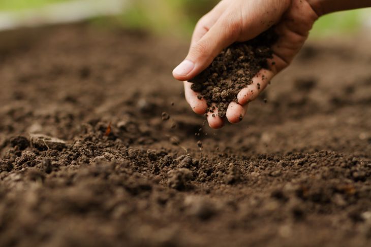 ワームキャスティングは土壌の通気を改善します