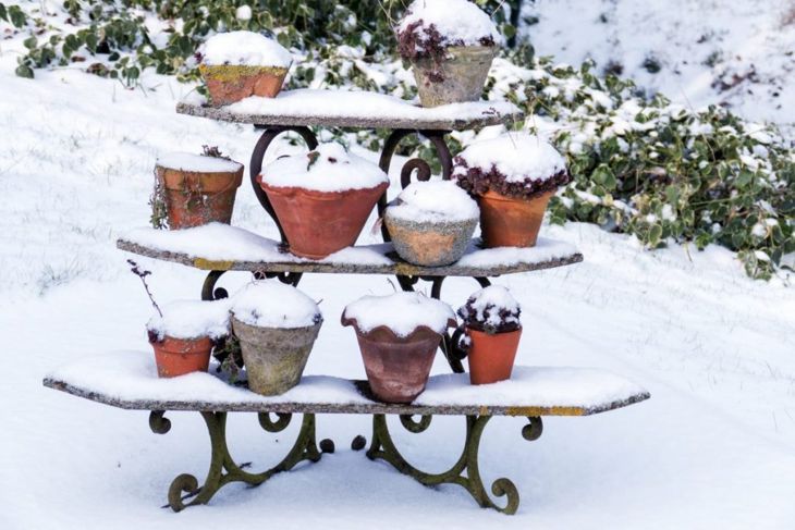 雪の植木鉢