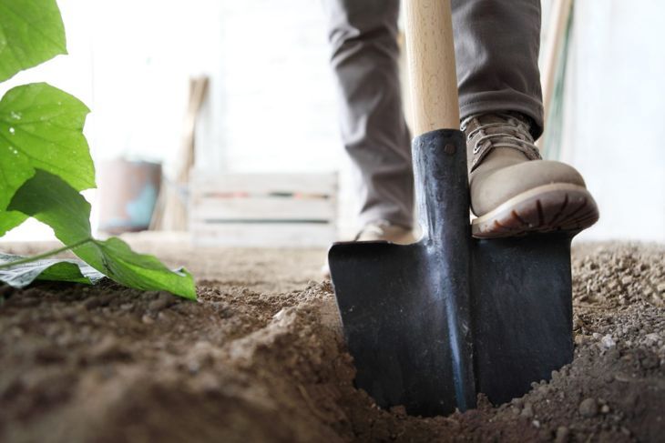 подготовка на почвата лопата градина