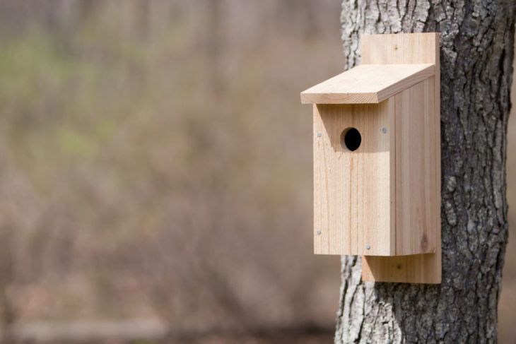 основна дървена къщичка за птици