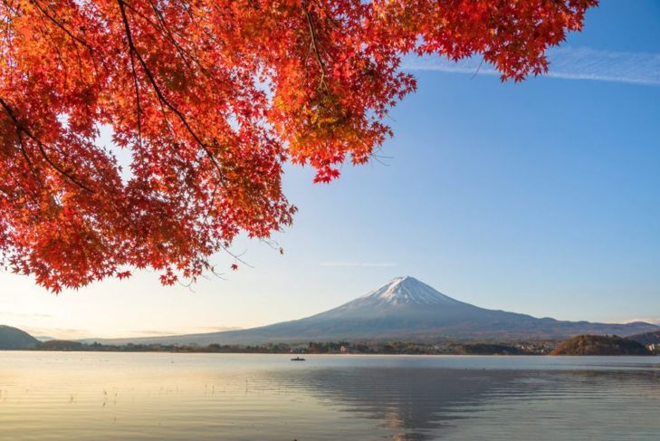 Червени кленови листа рамкират планината Фуджи в Япония.