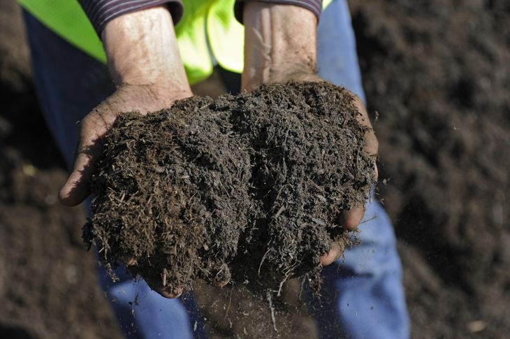 органична материя компостна почва