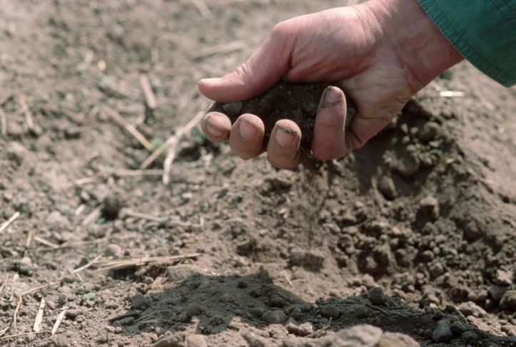 Ръка държи почвата над голата земя