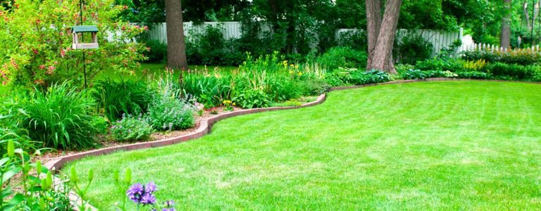 あなたの庭のためのDIY芝生エッジングのアイデア