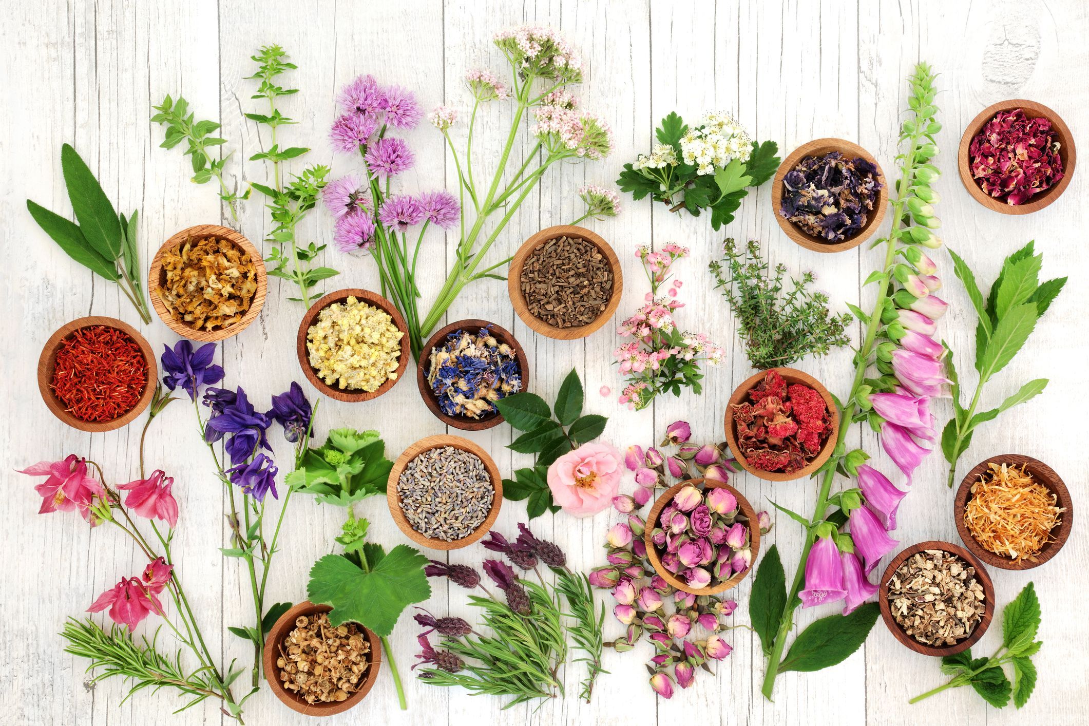 Zelišča in cvetje za zeliščno medicino