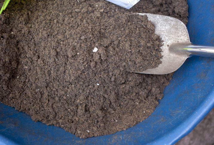 Пясъчна почва, идеална за засаждане на растение от тръни.