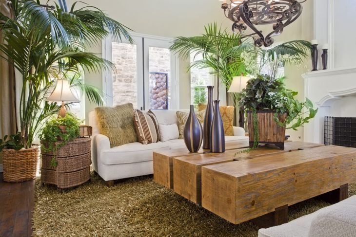 Ако имате зелен палец, придайте на хола си тропическа атмосфера с растения.