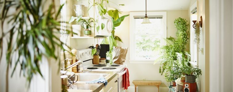 キッチンを家の中でお気に入りの部屋にするための色のアイデア
