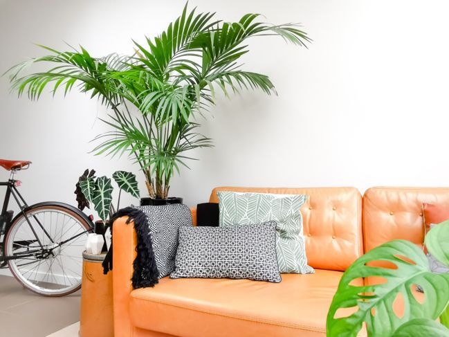 Светла модерна всекидневна с кафяв кожен диван и множество стайни растения, създаващи градска джунгла
