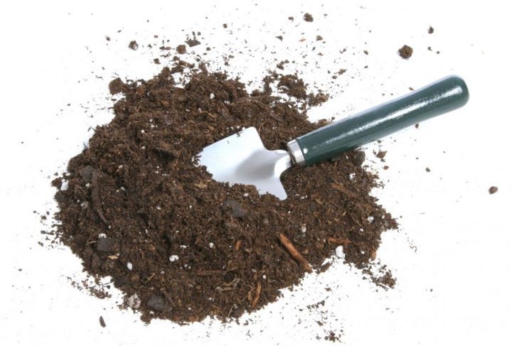 подготовка на почвата
