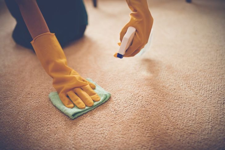 スプレーボトルとタオルを使ってカーペットを掃除する人