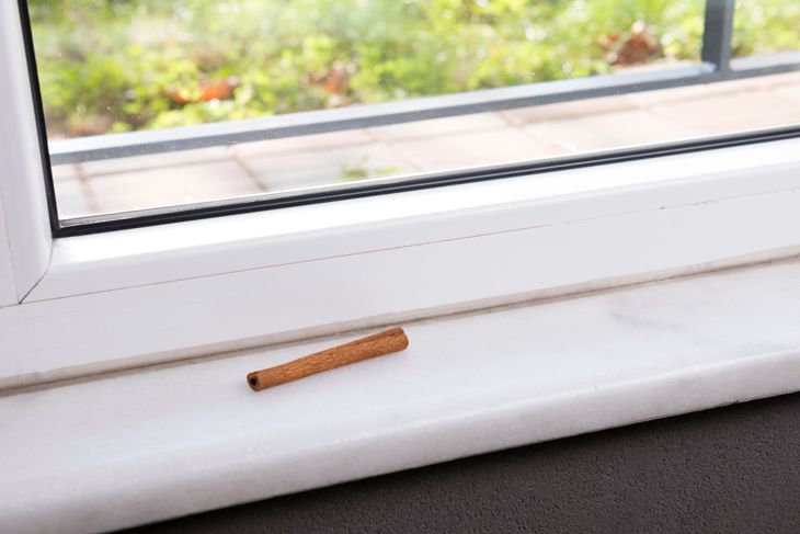 пръчка канела на перваза на прозореца за възпиране на мравки