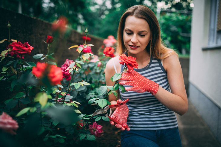 Красива жена реже цветя в задния двор