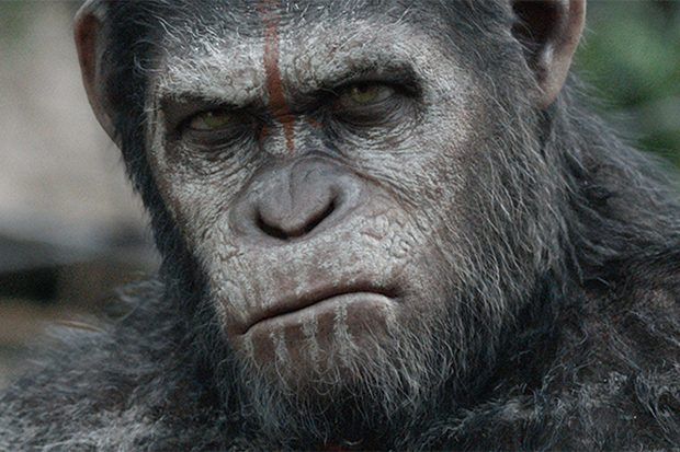 猿の惑星の映画を順番に見る方法–実際の時系列
